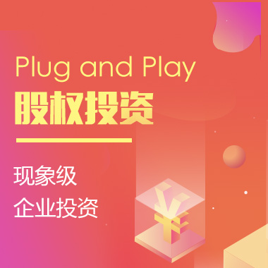 Plug and Play-股权投资