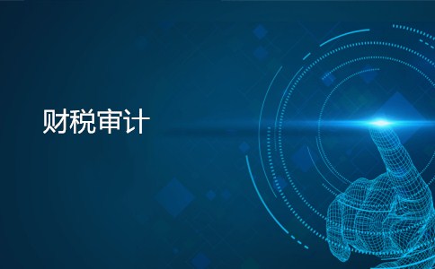 财税审计
